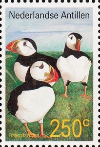 Atlantic Puffin (Fratercula arctica)